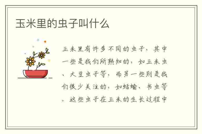 玉米里的虫子叫什么(玉米里的虫子叫什么名字)